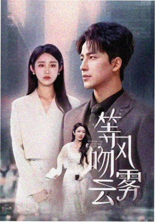 回声档案 悬疑剧在线观看全集